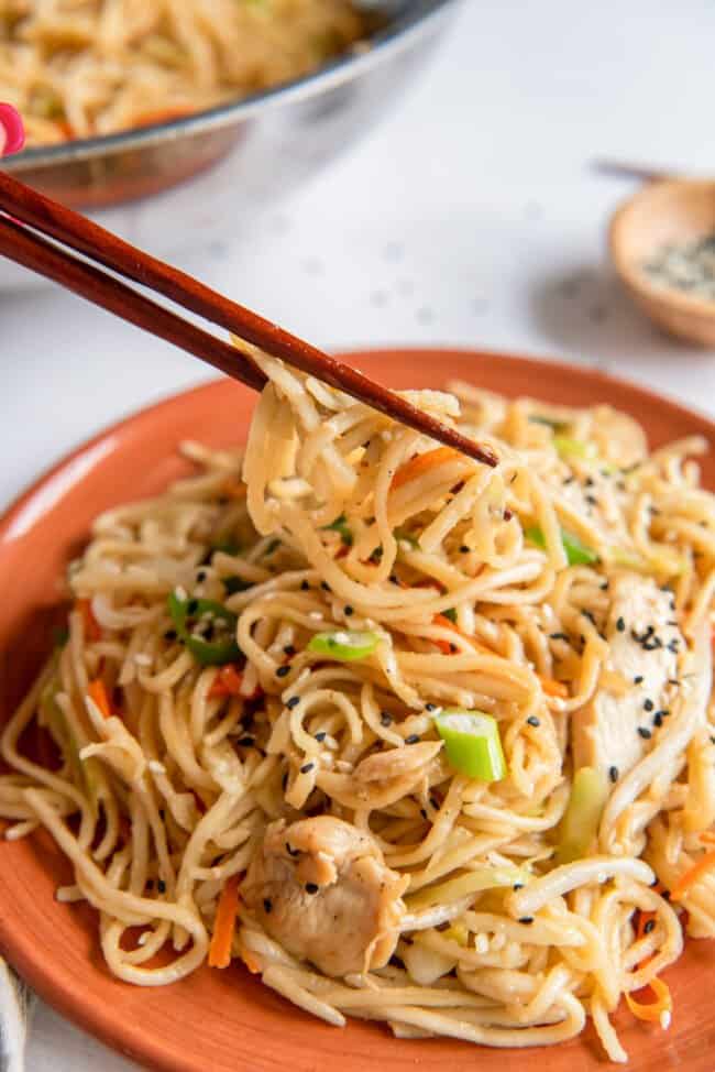 Chicken Lo Mein Recipe - The Cookie Rookie®