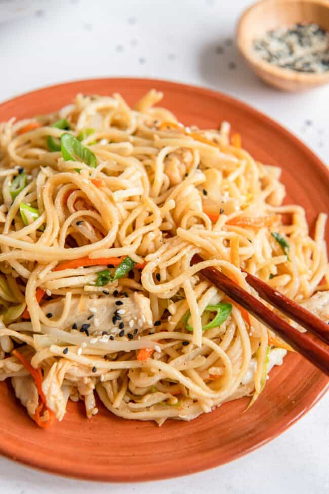 Chicken Lo Mein Recipe - The Cookie Rookie®