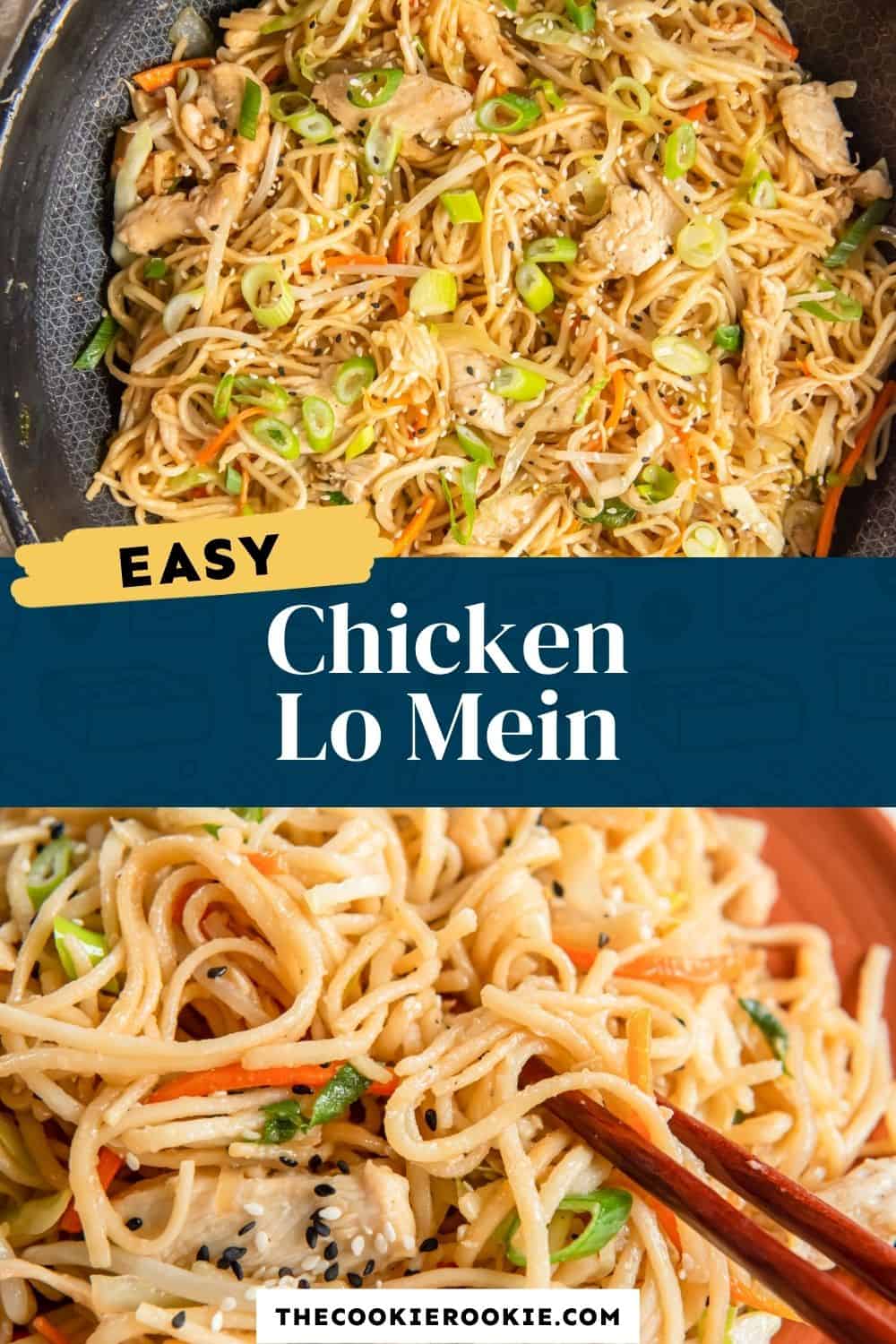 Chicken Lo Mein Recipe - The Cookie Rookie®