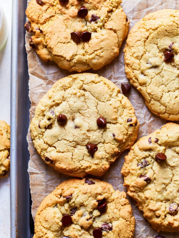 the best chocolate chip cookies