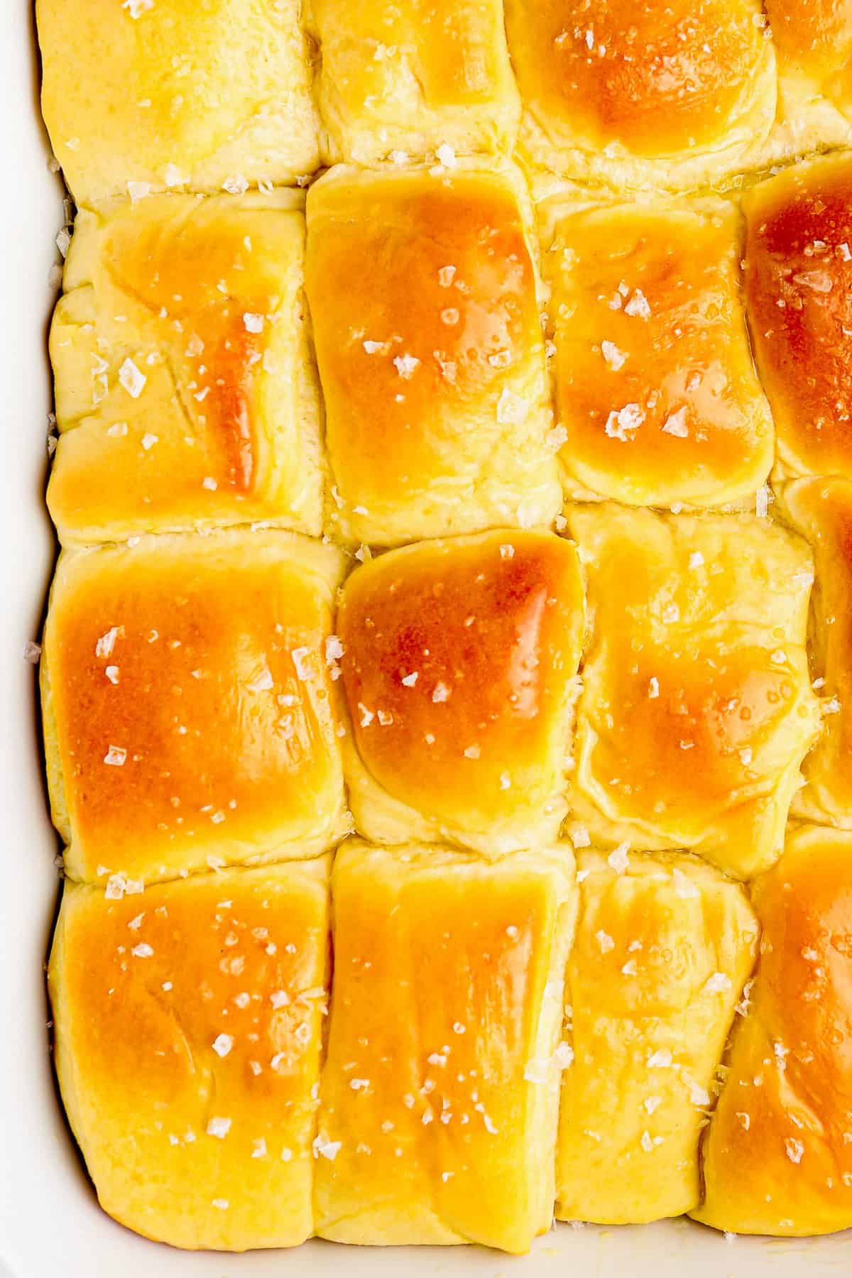 close up of parker house rolls in a white baking pan.