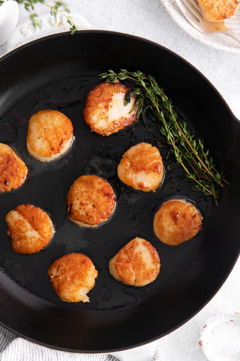 nine seared scallops set in a pan