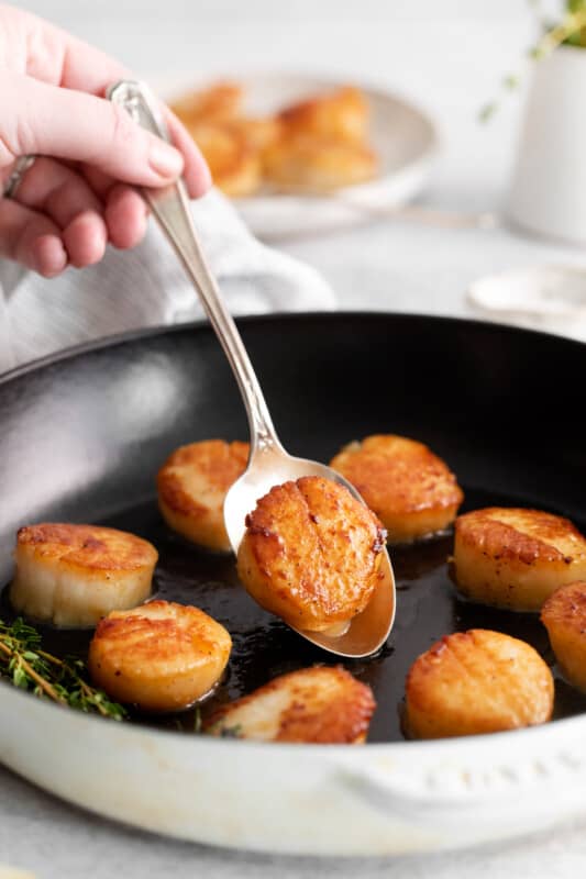 Seared Scallops (How To Sear Scallops) - The Cookie Rookie®