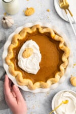 30+ Pumpkin Recipes to Make this Fall - The Cookie Rookie®