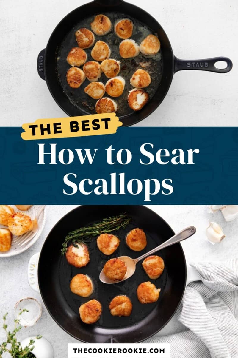 seared scallops pinterest