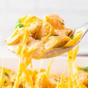 close up of instant pot scalloped potatoes lifted from a baking dish by a spoon.