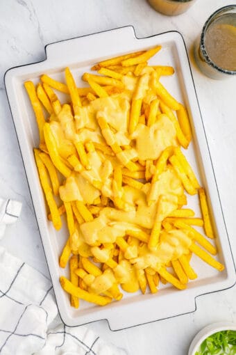 Cheese Fries Recipe The Cookie Rookie   Cheese Fries Recipe 2 340x510 