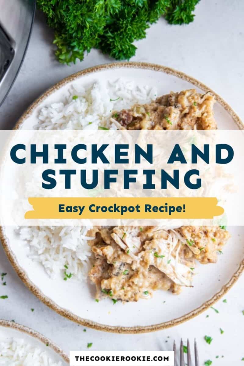 Chicken Seasoning Recipe - The Cookie Rookie®