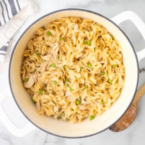 Chicken and Noodles Recipe - 52