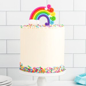 Rainbow Cake Recipe - 28