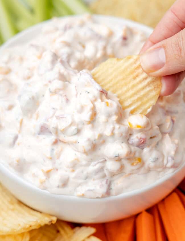 Best Dip Recipes - Hot Dips and More - The Cookie Rookie®