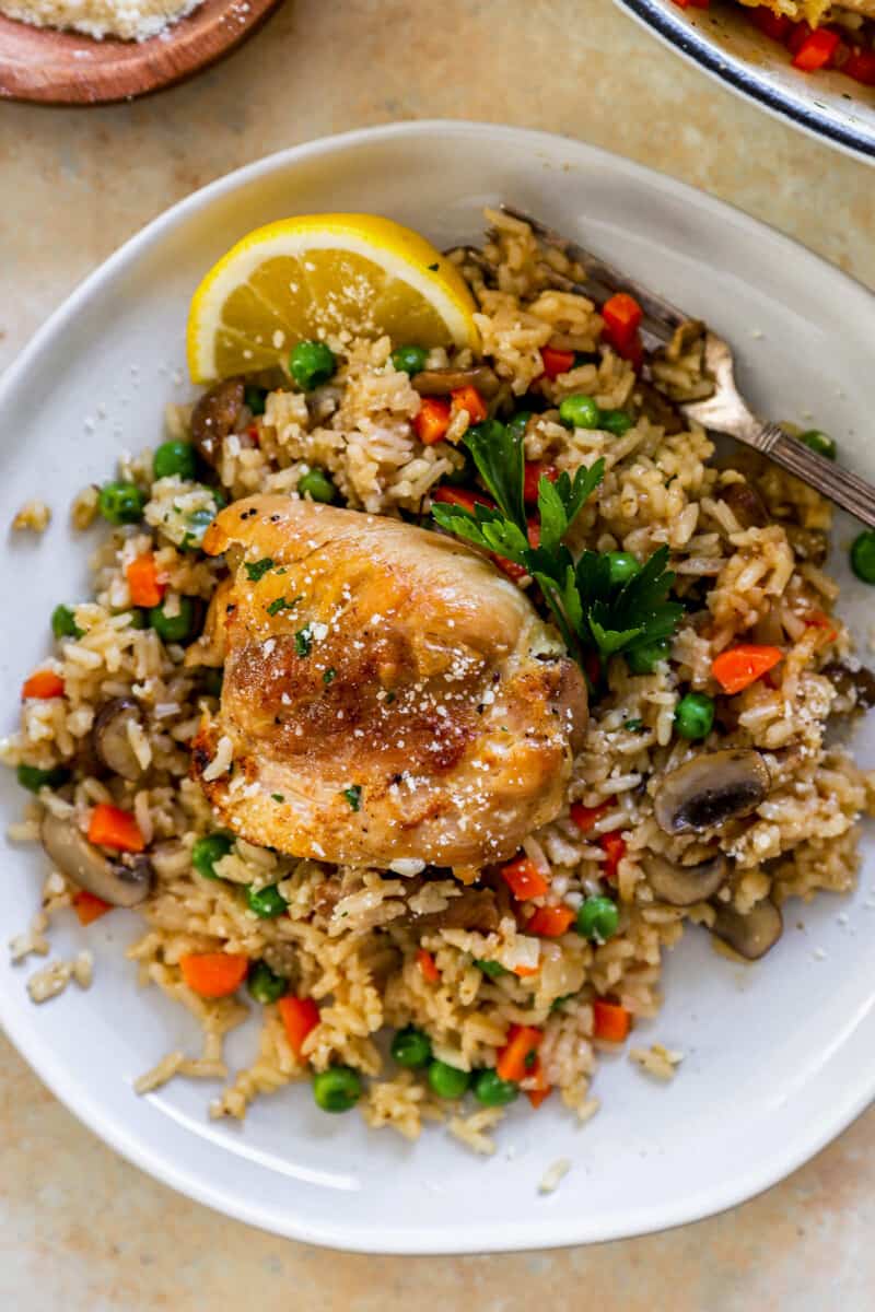 overhead view of chicken and rice on a white plate with a lemon slice.