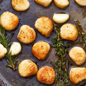 Seared Scallops  How to Sear Scallops  Recipe - 44