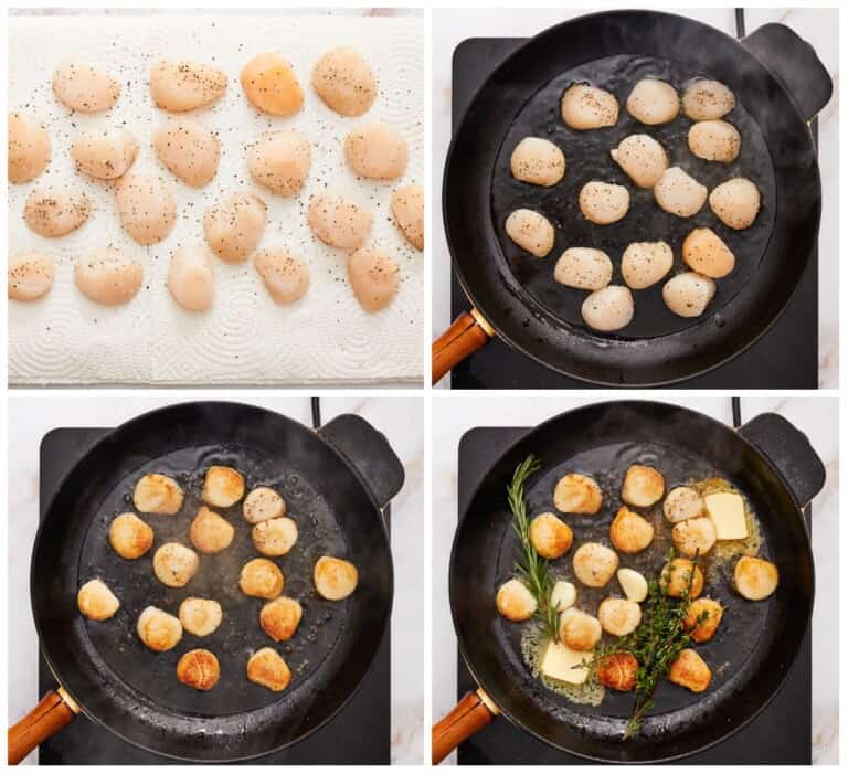 Seared Scallops (How To Sear Scallops) Recipe - The Cookie Rookie®