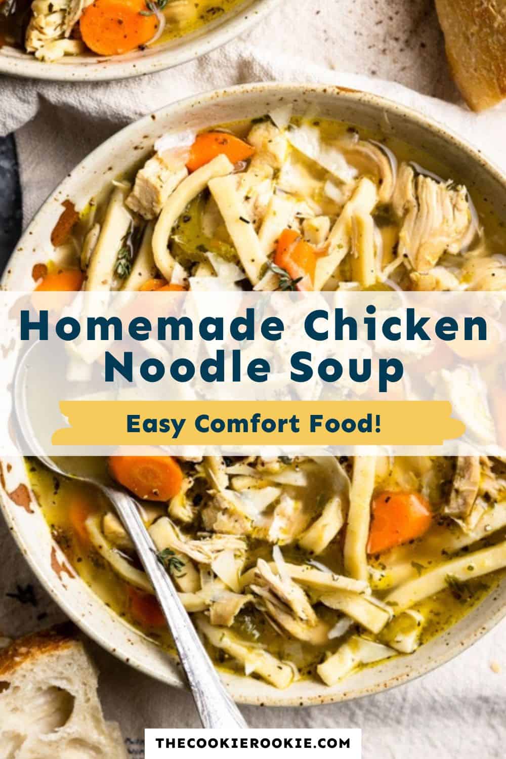 Homemade Chicken Noodle Soup Recipe - VIDEO!!