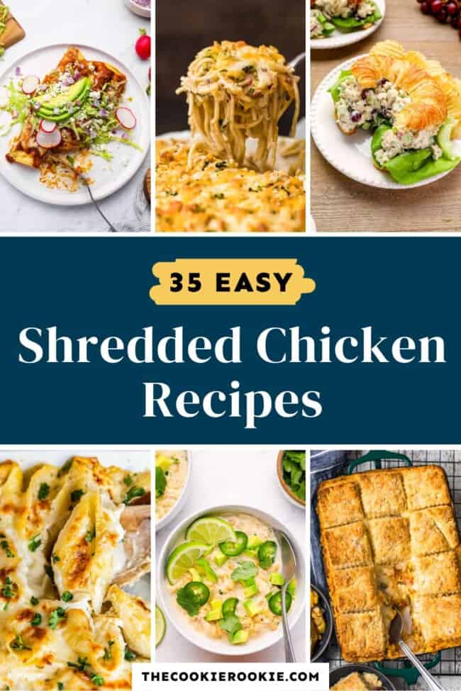 35 Shredded Chicken Recipes - The Cookie Rookie®