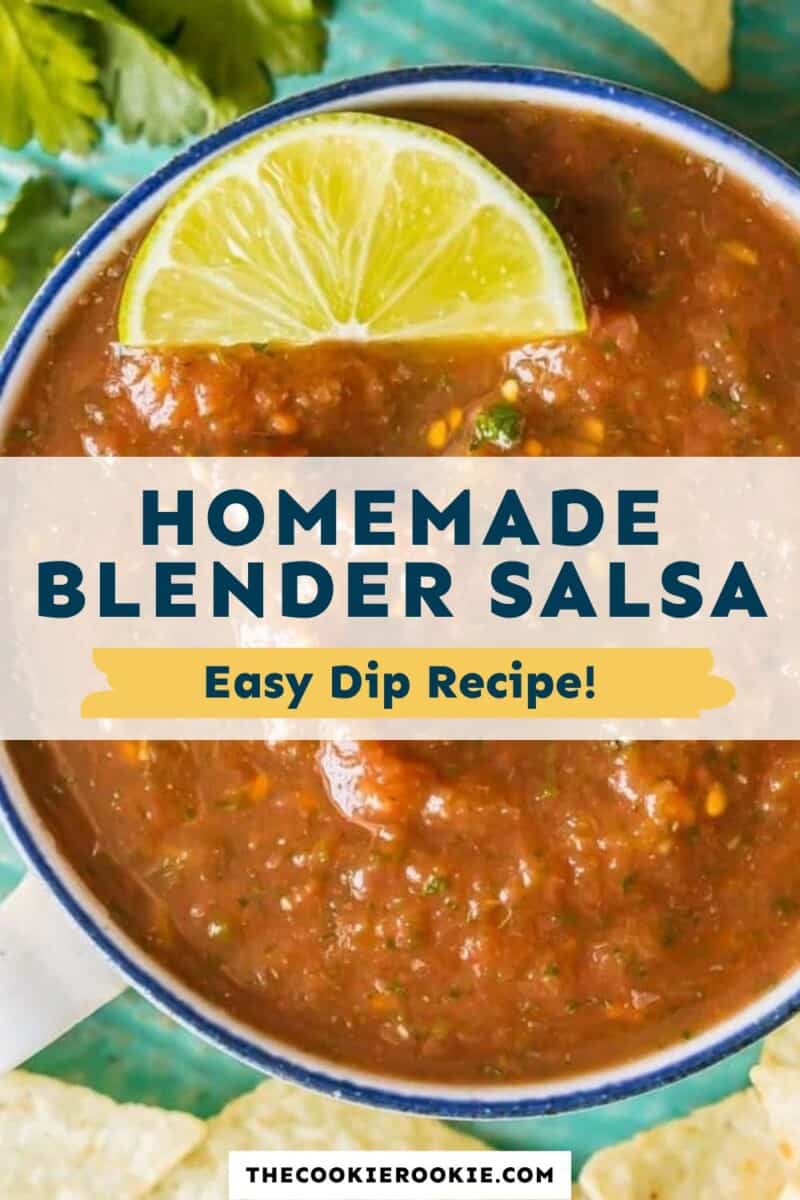 Easy Blender Salsa Recipe - Diary of A Recipe Collector