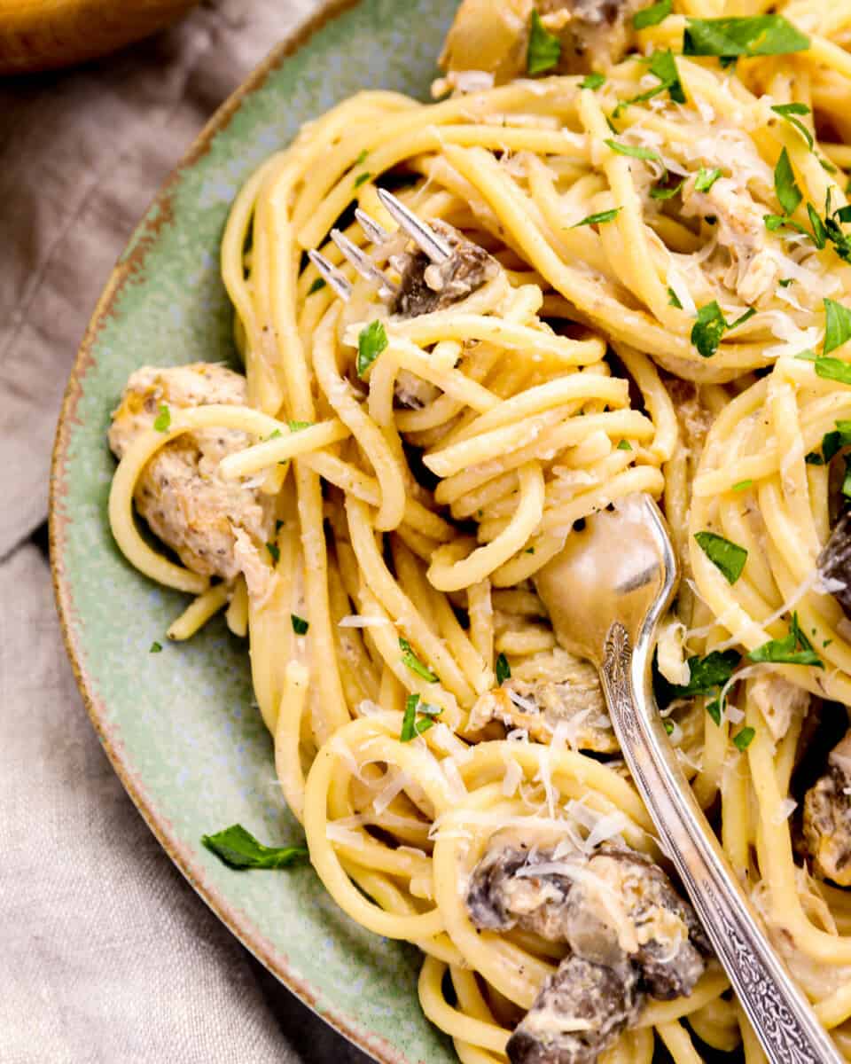 Crockpot Chicken Tetrazzini Recipe - The Cookie Rookie®