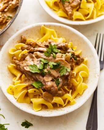 Beef Stroganoff Recipe - The Cookie Rookie®