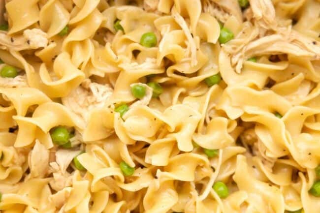 Chicken and Noodles Recipe - The Cookie Rookie®