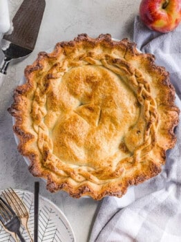 Homemade Apple Pie Recipe - The Cookie Rookie®