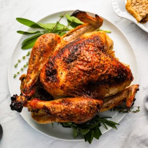 A roasted turkey on a white plate.