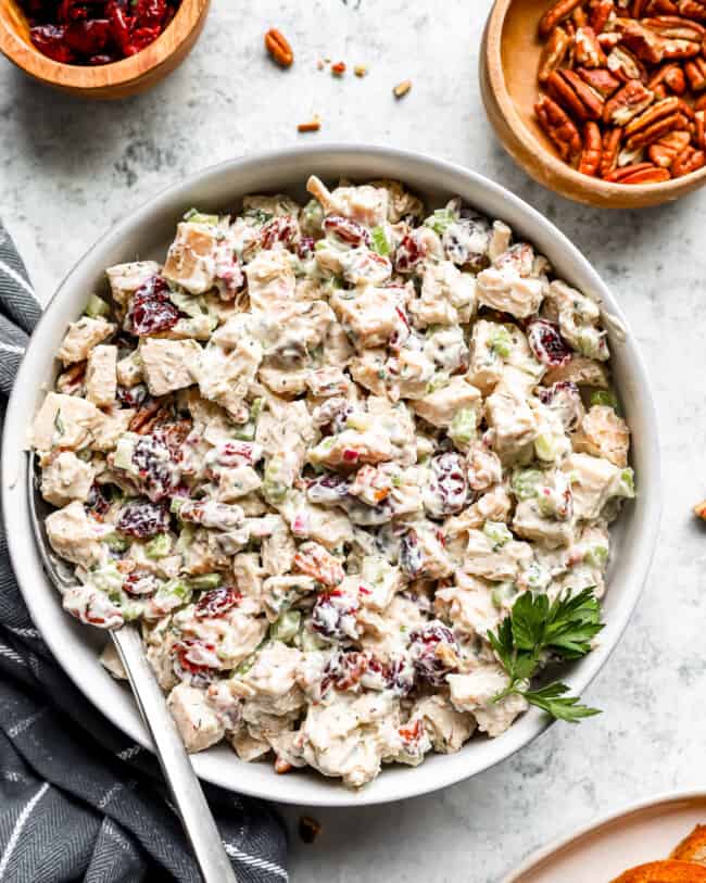 Turkey Salad Recipe - The Cookie Rookie®