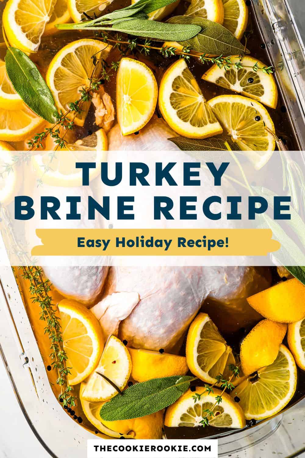 Turkey Brine Recipe The Cookie Rookie®