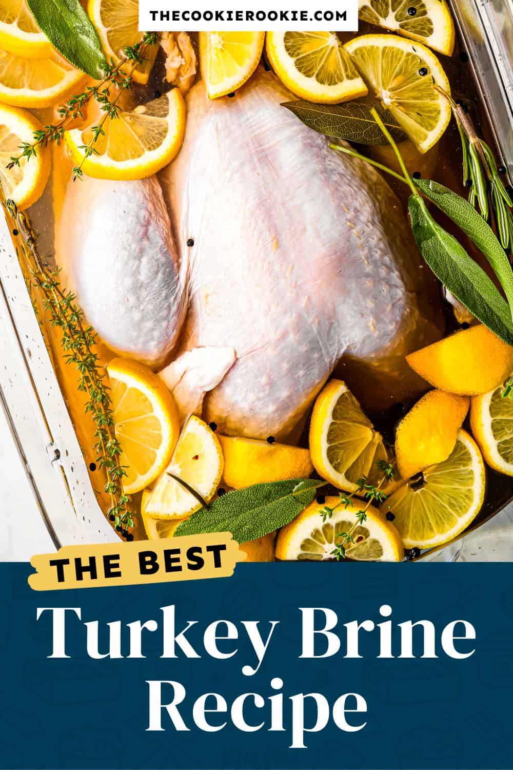 Turkey Brine Recipe - The Cookie Rookie®