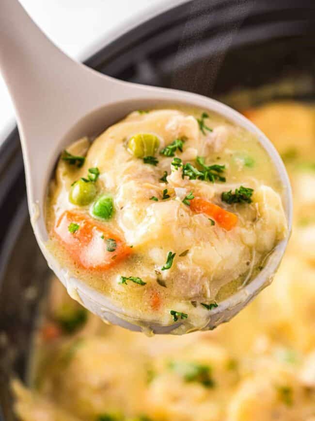 Crockpot Chicken and Dumplings Recipe - The Cookie Rookie®