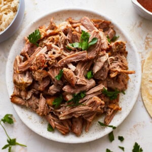 Pulled pork on a plate next to tortillas and salsa.