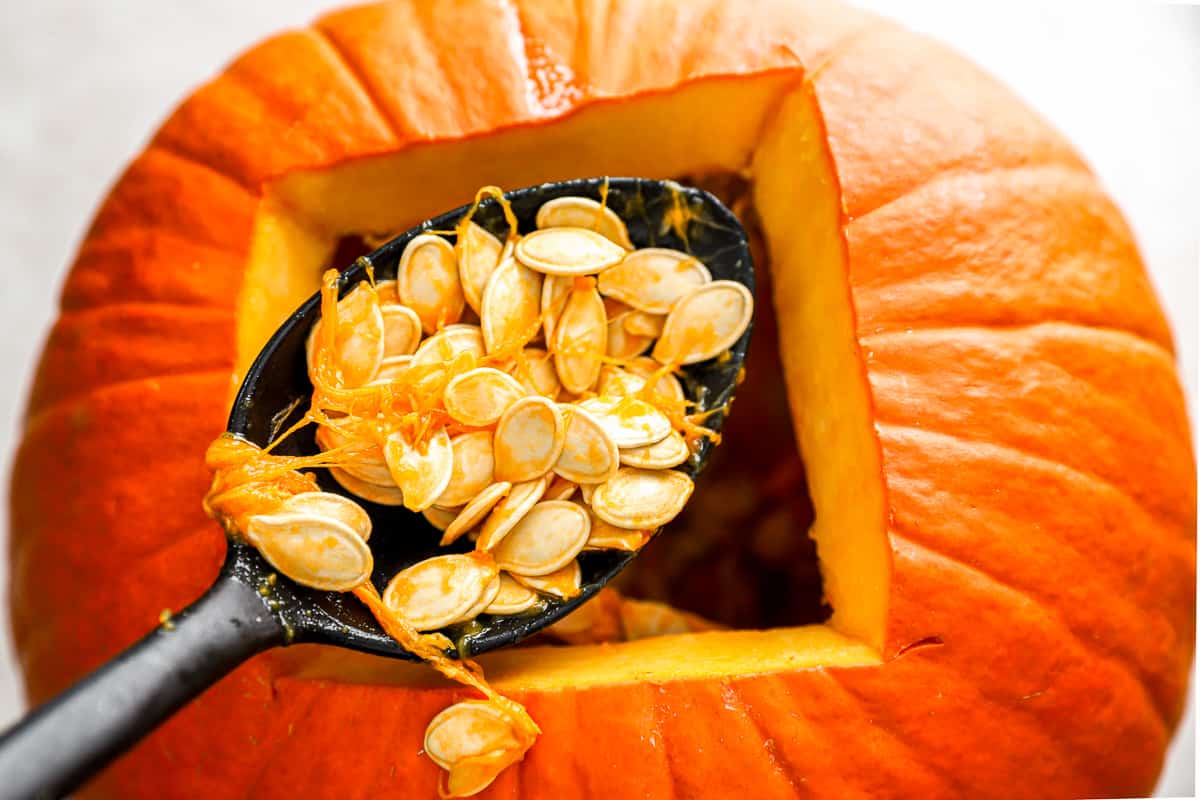 A spoon removing pumpkin seeds from a real pumpkin.