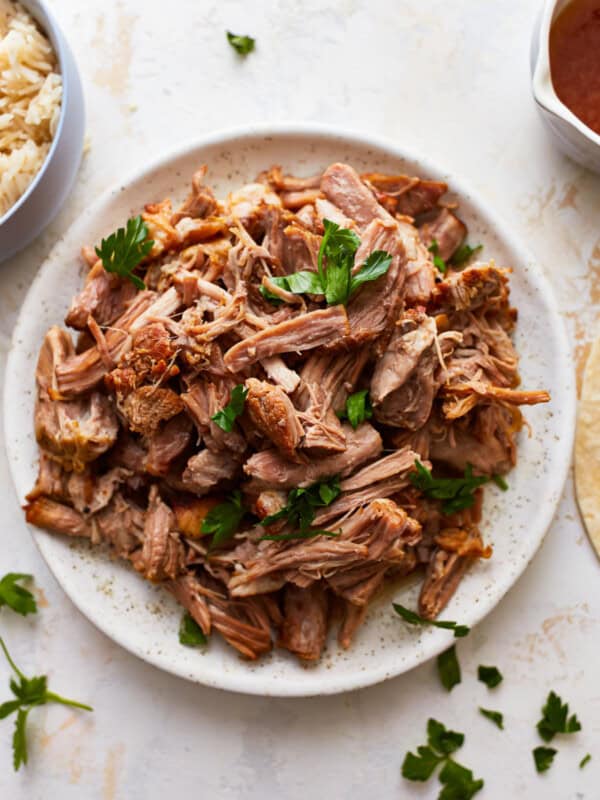 Pulled pork on a plate with rice and salsa.