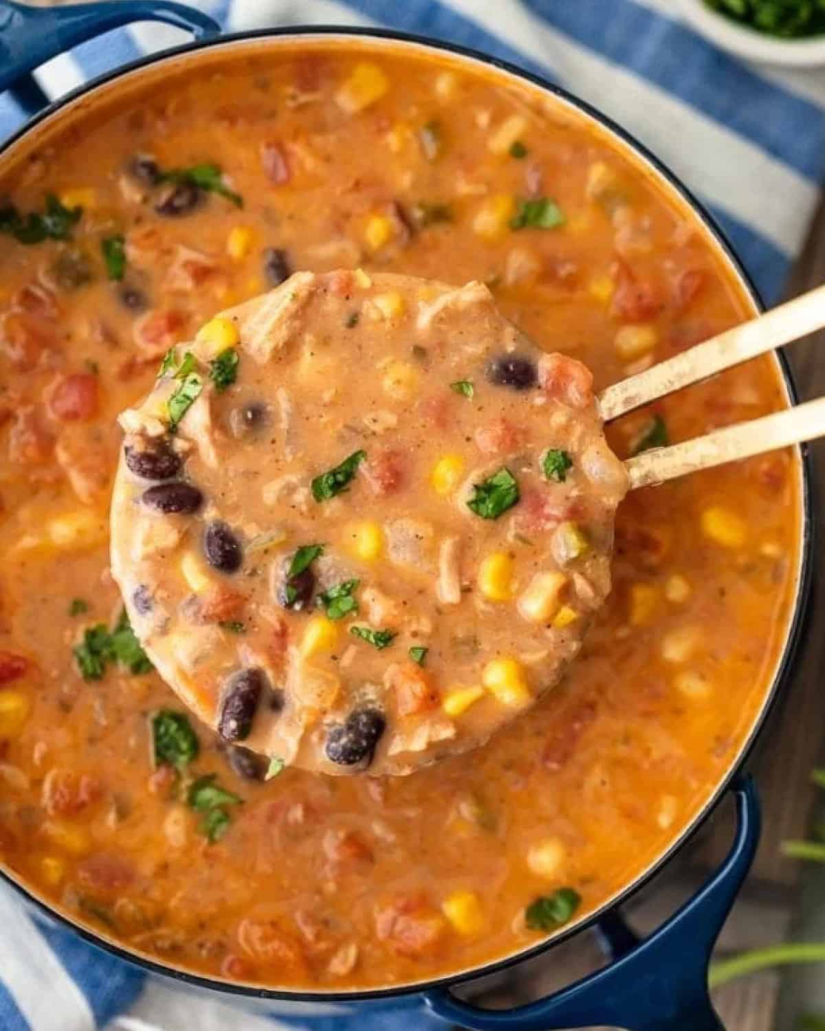 Creamy Chicken Tortilla Soup with Step by Step Instructions