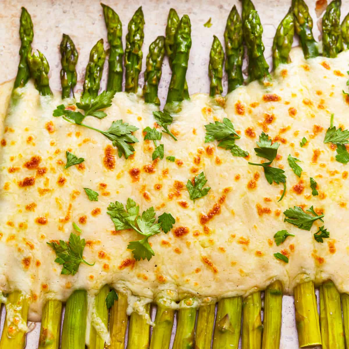 Cheesy Asparagus au Gratin Recipe - The Cookie Rookie®