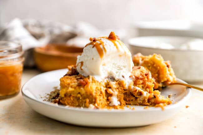 Pumpkin Dump Cake Recipe - The Cookie Rookie®