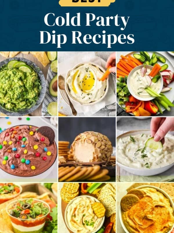 Best cold party dip recipes.