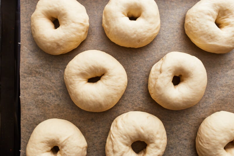 shaped bagel dough on parchment.