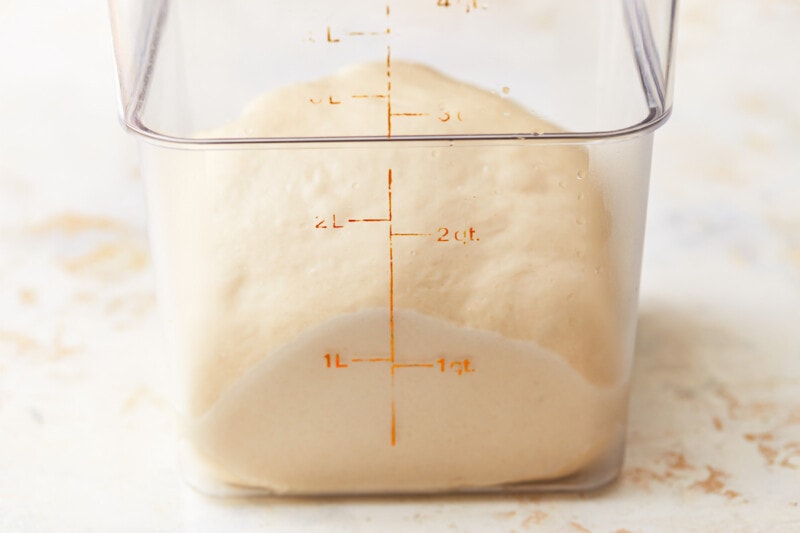 proofed bagel dough in a proofing bucket.