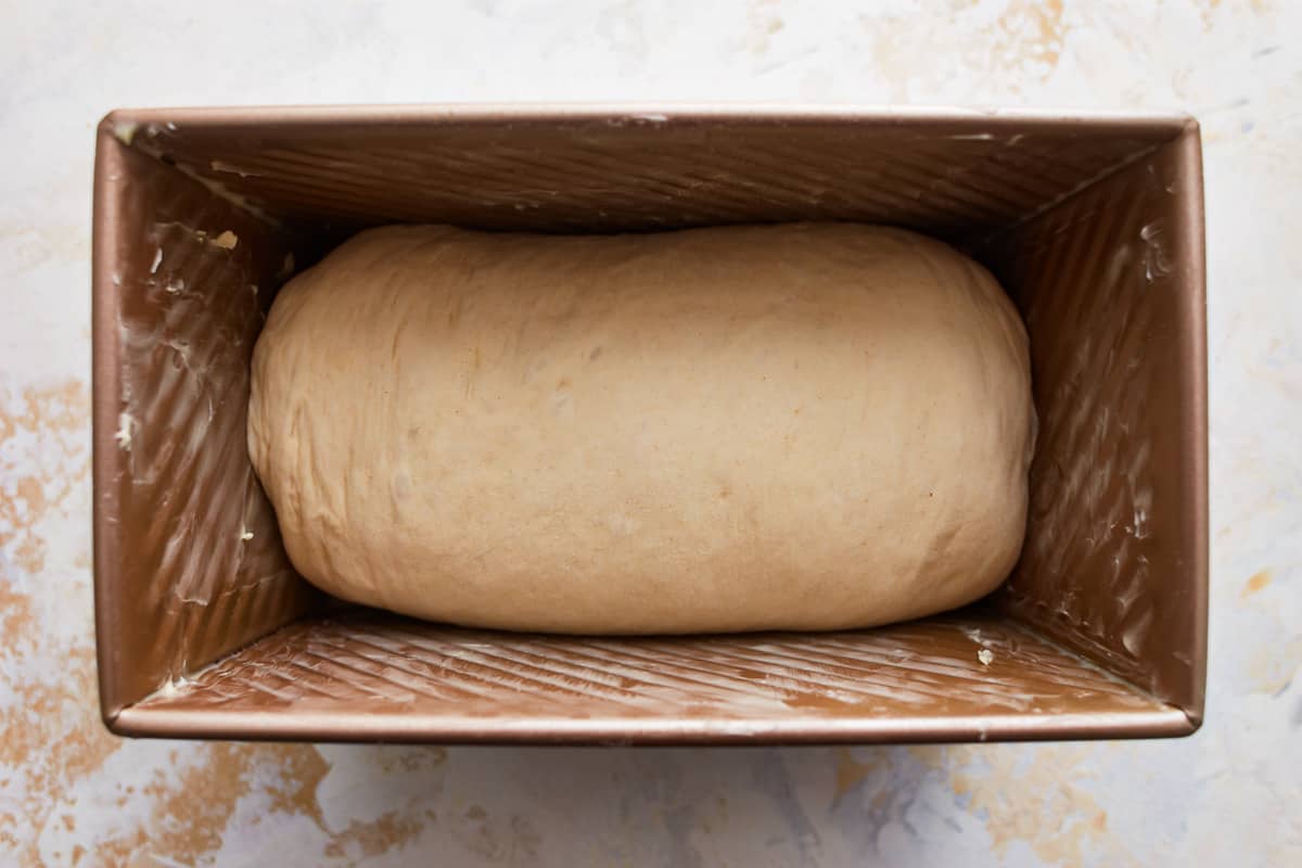 a rolled loaf of bread dough in a loaf pan.