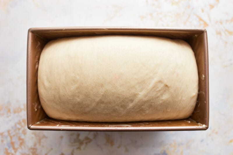 a proofed loaf of bread in a loaf pan.