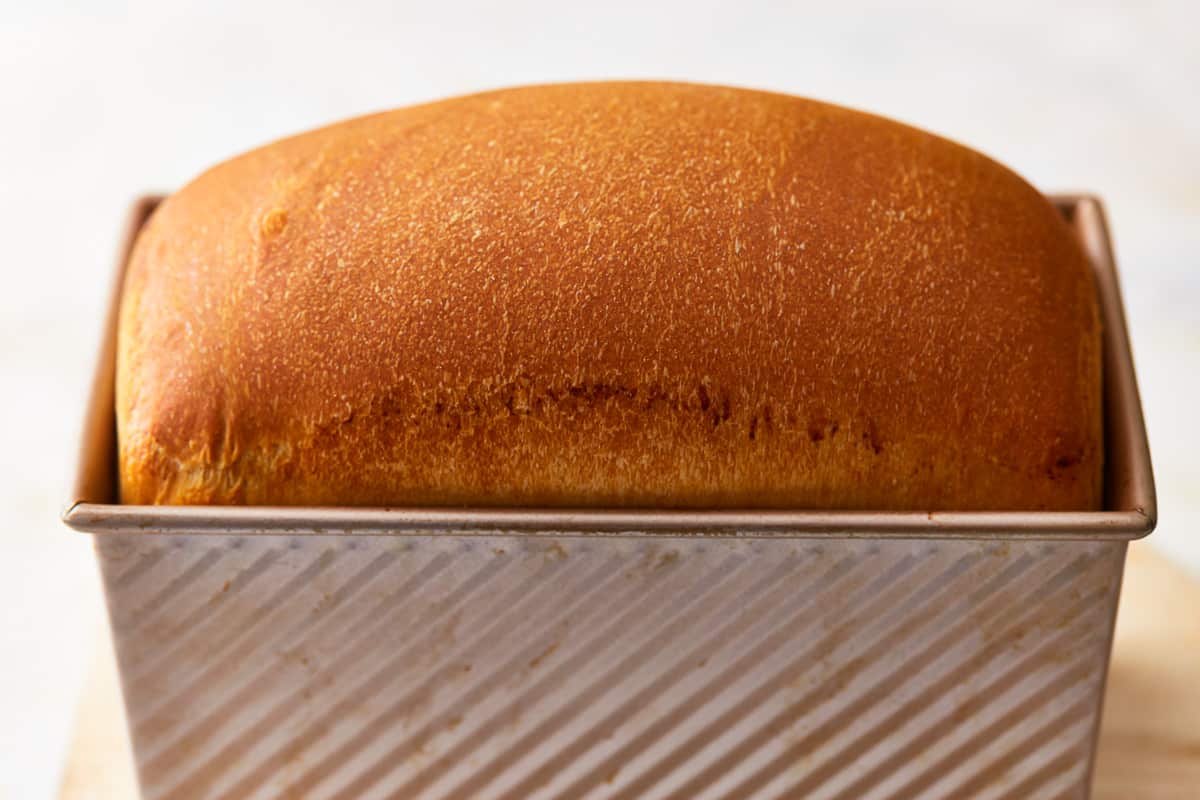 side view of baked sandwich bread in a loaf pan.