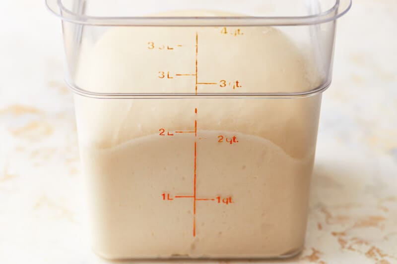 proofed bread dough in a proofing bucket.