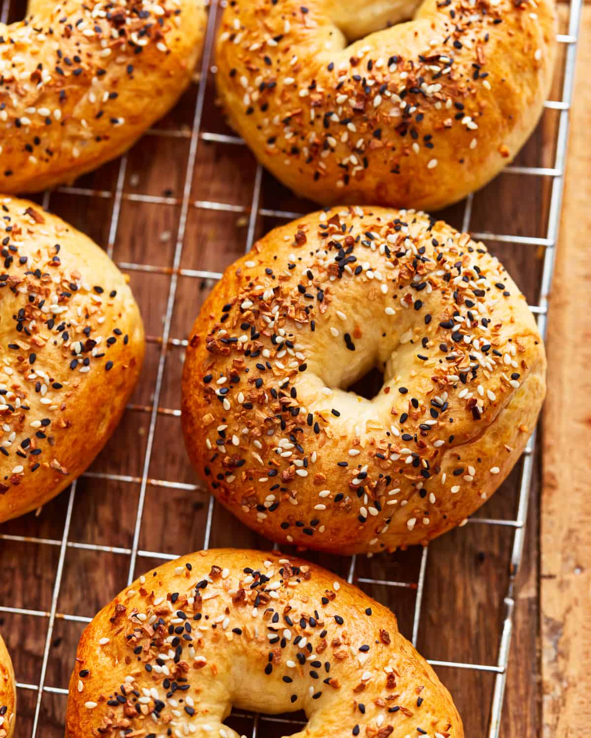 everything bagel seasoned bagels on a wire rack.