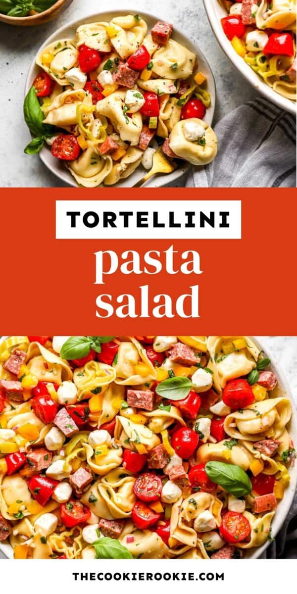 Italian Tortellini Pasta Salad - 16