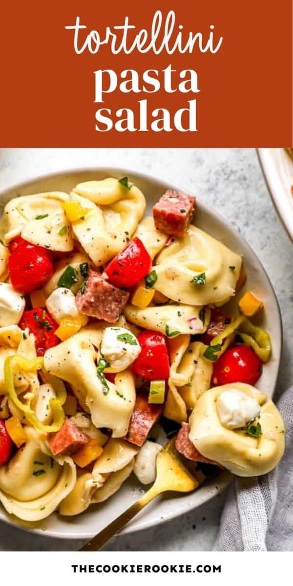 Italian Tortellini Pasta Salad - 77