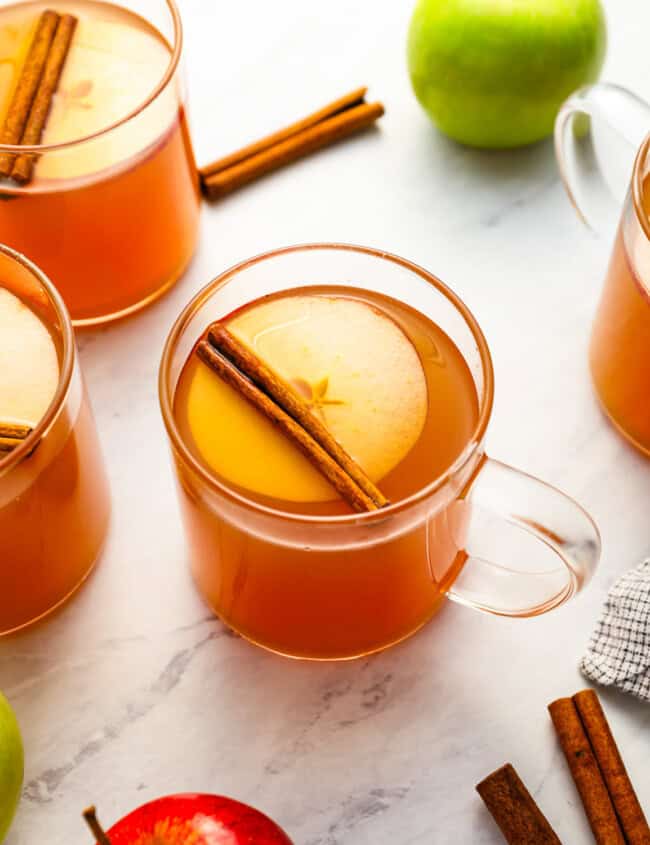 a glass of apple cider topped with an apple slice and a cinnamon stick.