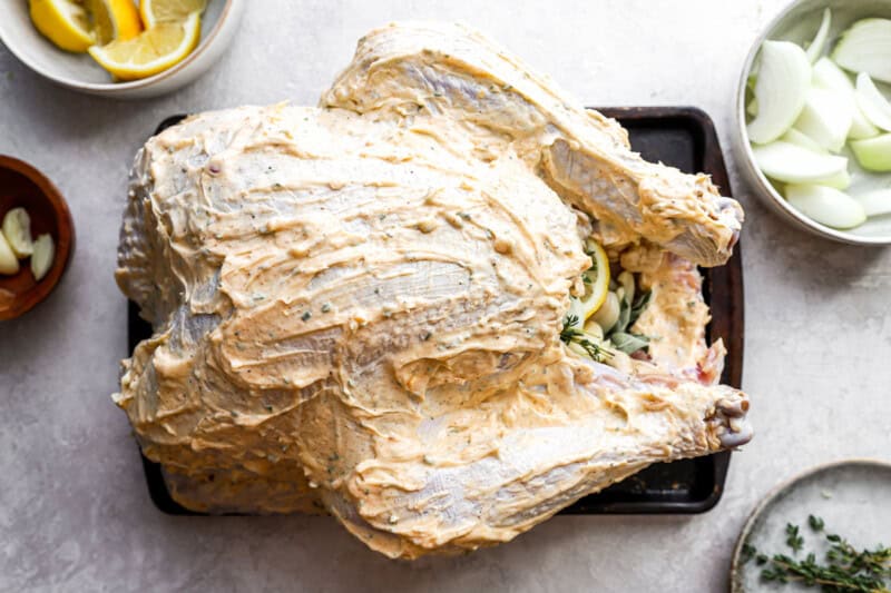 Mayonnaise Roasted Turkey Recipe - 88