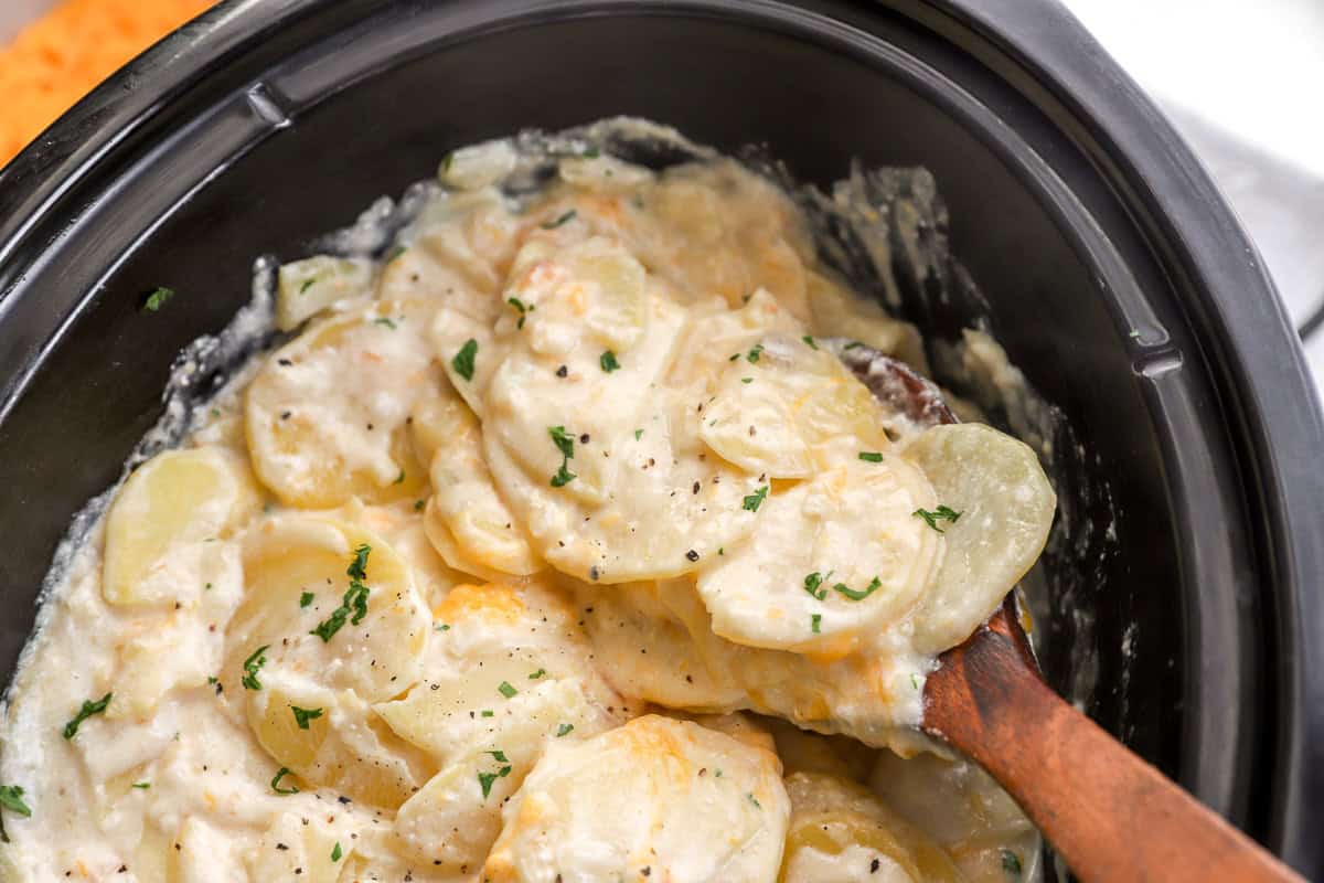 a wooden spoon lifting scalloped potatoes from a crockpot.