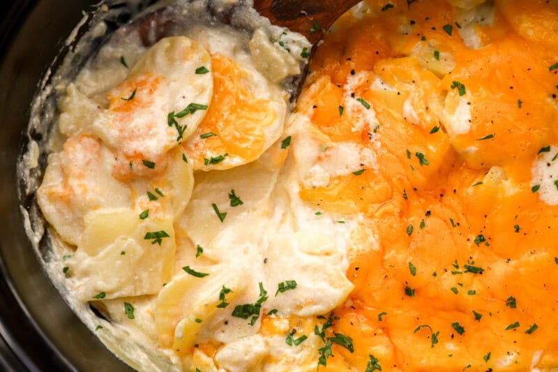 closeup overhead view of crockpot scalloped potatoes.